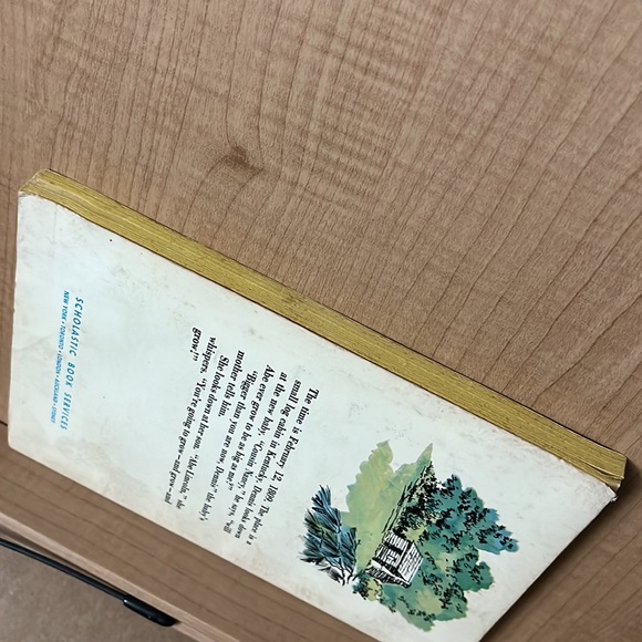 Paperback “Abe Lincoln - Gets His Chance” by Frances Cavanah - Picture 10 of 16